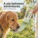 Portable Dog Drinking Bottle for Walks and Travel, with Fold-Out Tray, Food Cup and Mist Sprayer
