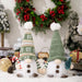 Light-Up Christmas Gnomes, Set of 2, 12 in Plush Gnomes with Green Knit Hats and LED Glow