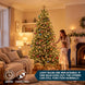150-Count Clear Mini Christmas String Lights, Green Wire, Indoor/Outdoor
