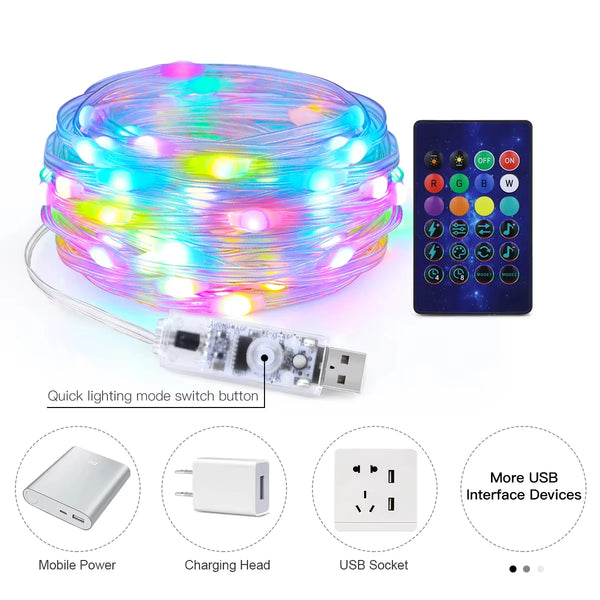 Smart Christmas Tree String Lights with App and Remote Control, USB, 33 ft Color-Changing