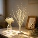 Lighted Birch Tree for Christmas Decor, 27 in Tabletop, 144 Warm White LEDs, USB or Battery