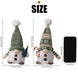 Light-Up Christmas Gnomes, Set of 2, 12 in Plush Gnomes with Green Knit Hats and LED Glow