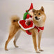 Santa Rider Christmas Dog Costume, Size L, Red Fleece Outfit with Santa Riding on the Back