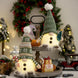 Light-Up Christmas Gnomes, Set of 2, 12 in Plush Gnomes with Green Knit Hats and LED Glow
