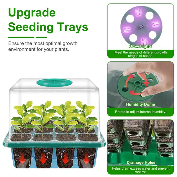 Seed Starter Kit with Grow Lights, 5 Trays with Humidity Domes and Timer